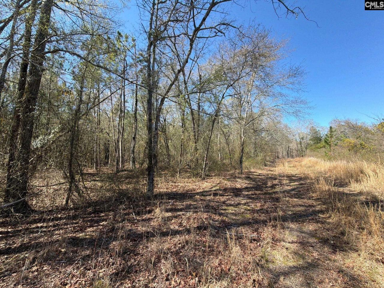 Bhl 12 Boise Cascade Road Photo 8