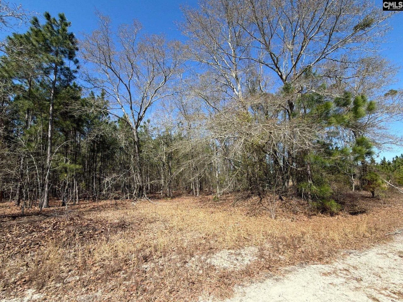 Bhl 12 Boise Cascade Road Photo 12