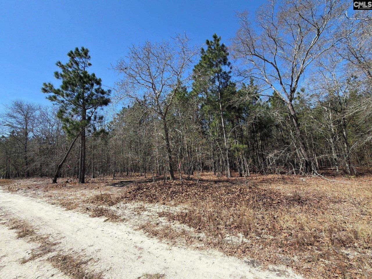 Bhl 12 Boise Cascade Road Photo 13