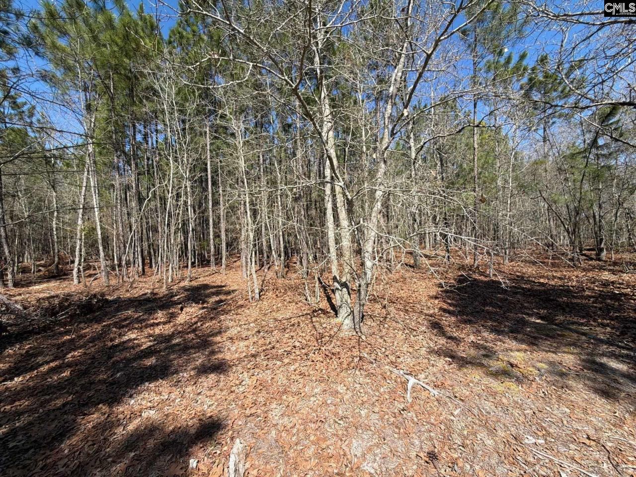 Bhl 12 Boise Cascade Road Photo 15