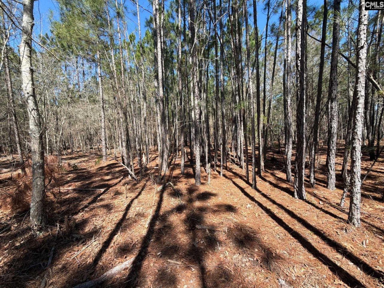 Bhl 12 Boise Cascade Road Photo 16