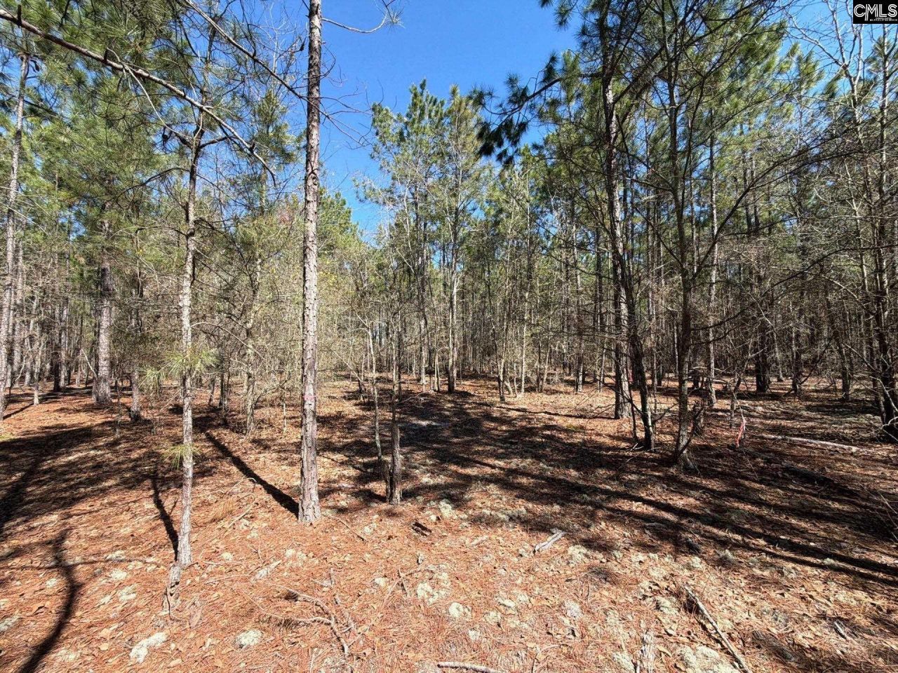 Bhl 12 Boise Cascade Road Photo 17