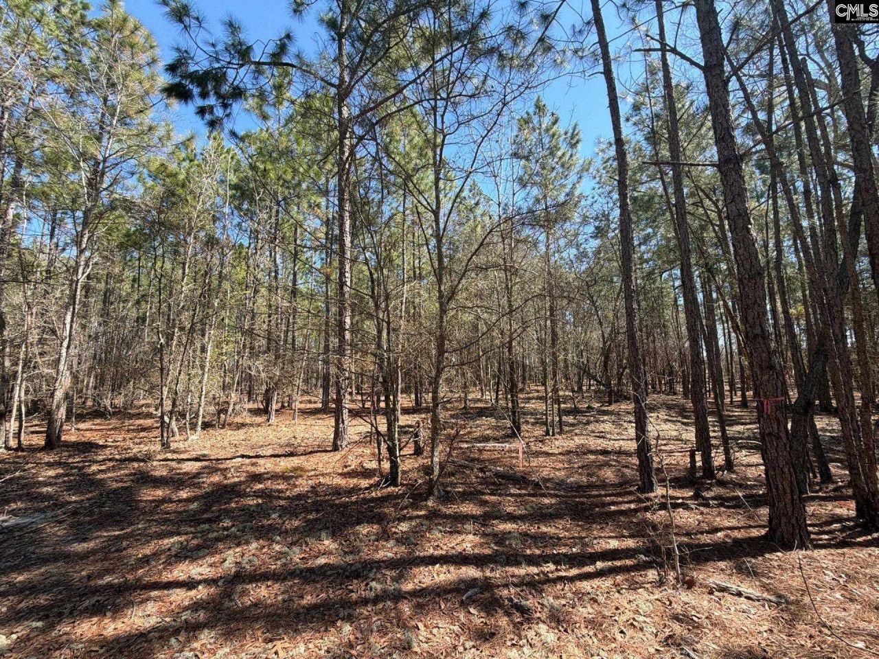 Bhl 12 Boise Cascade Road Photo 18