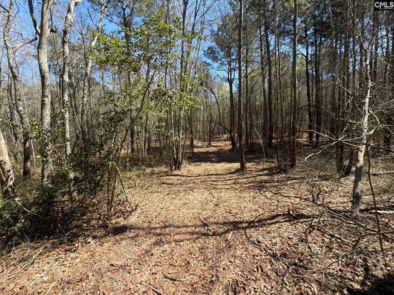 Bhl 12 Boise Cascade Road Photo 19