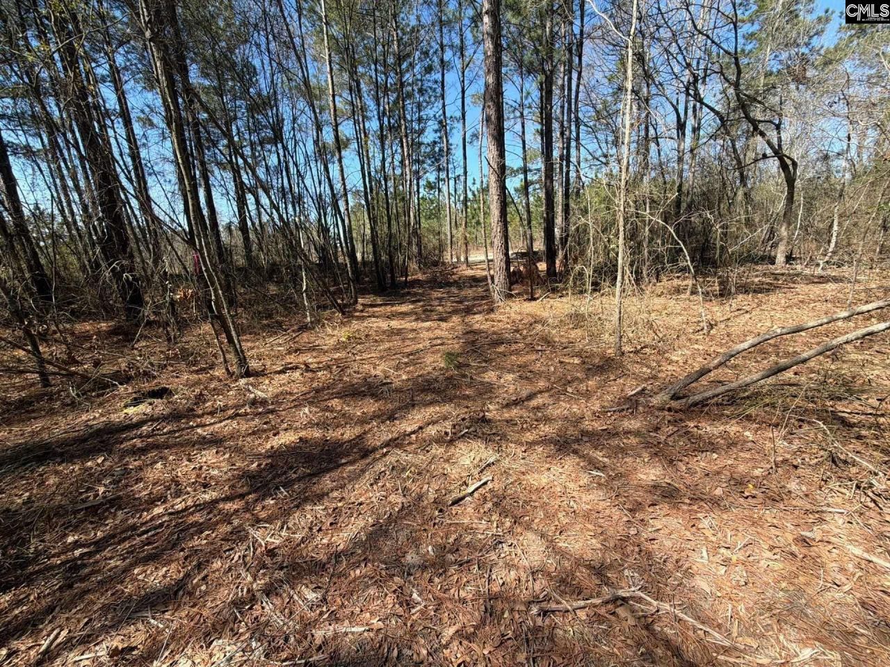 Bhl 12 Boise Cascade Road Photo 20