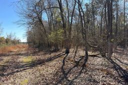 Bhl 12 Boise Cascade Road photo 4