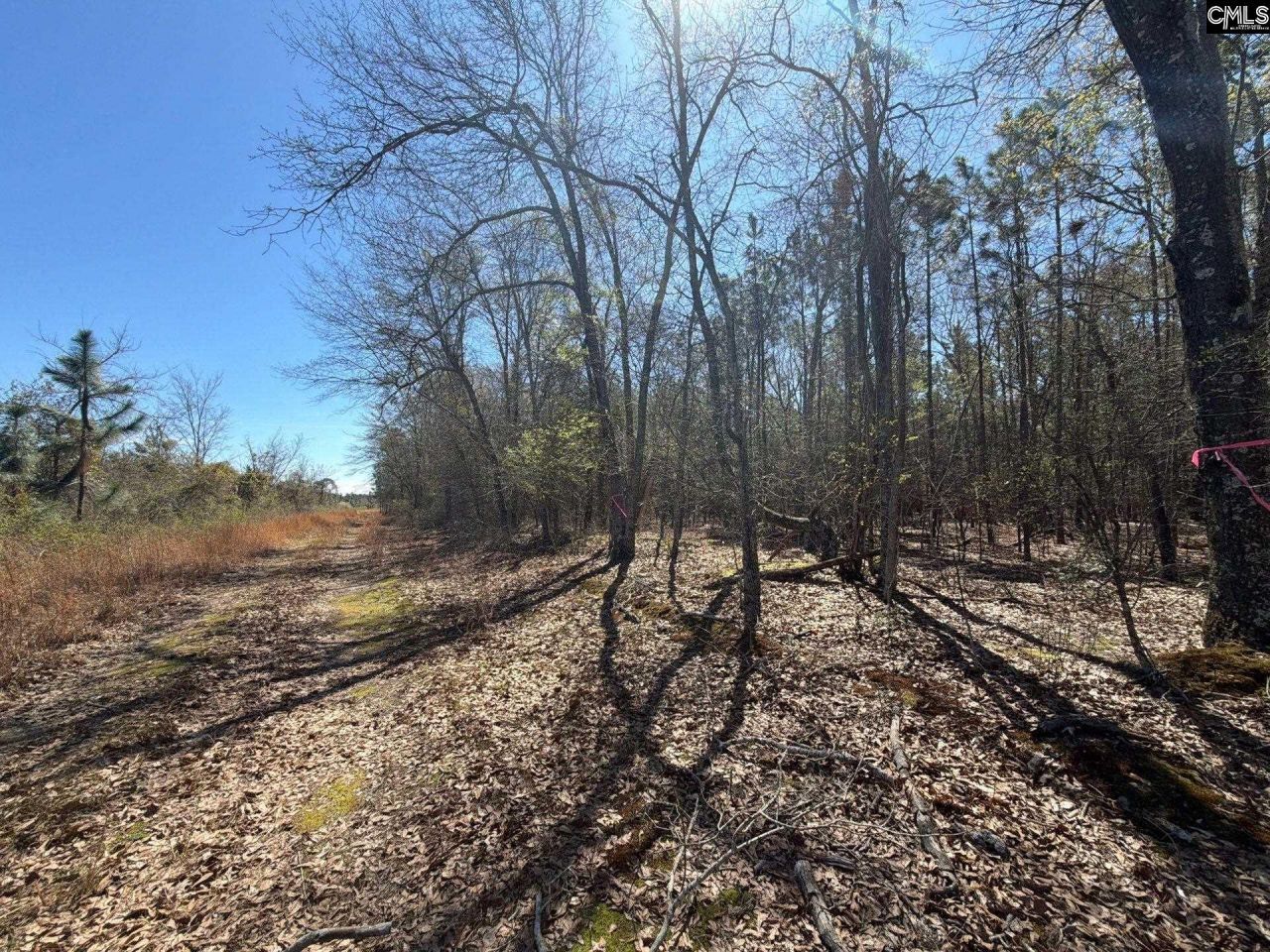 Bhl 12 Boise Cascade Road Photo 4