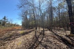 Bhl 12 Boise Cascade Road photo 4