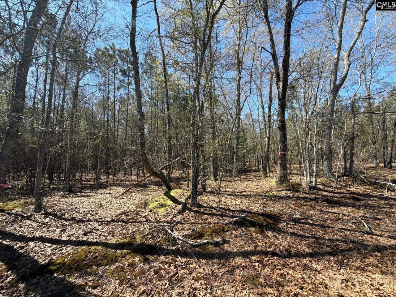 Bhl 12 Boise Cascade Road Photo 5