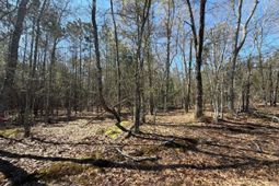 Bhl 12 Boise Cascade Road photo 4