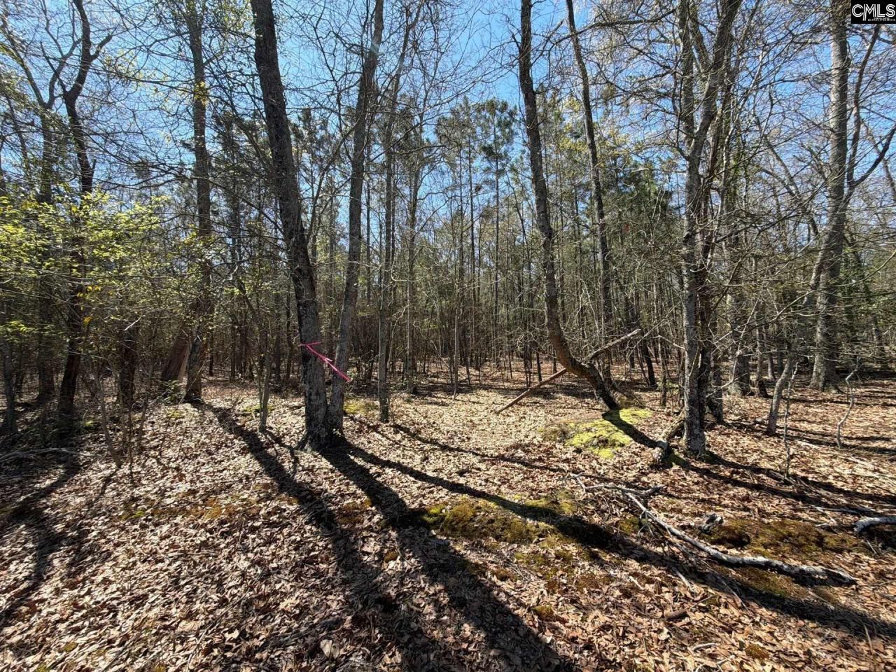 Bhl 12 Boise Cascade Road Photo 6