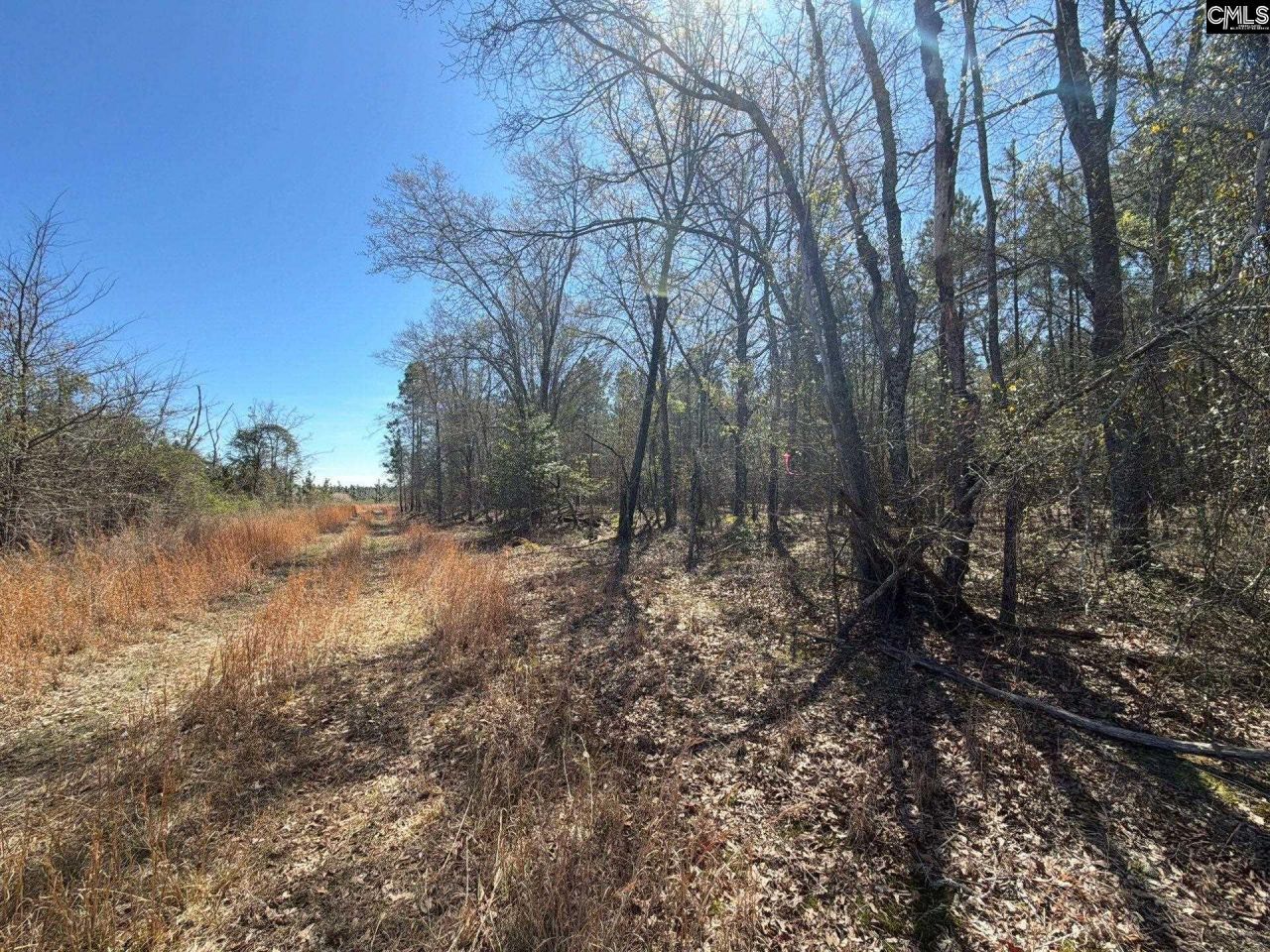 Bhl 12 Boise Cascade Road Photo 7