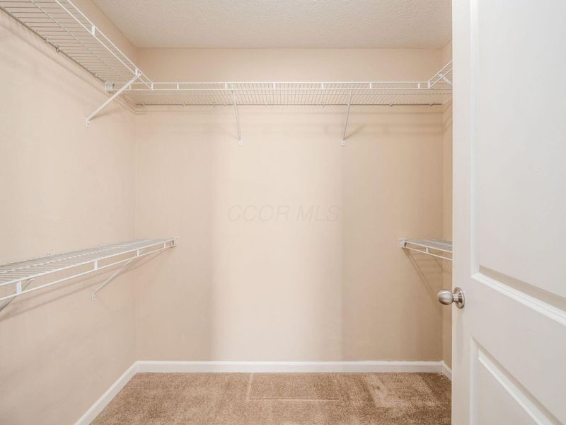 8785 Olenmead Drive, Lewis Center, OH 43035 Photo 23