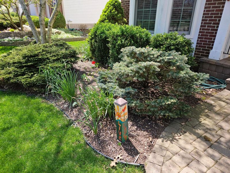 7134 Nightshade Drive, Westerville, OH 43082 Photo 65