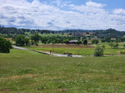 11777 Shenandoah Rd, Plymouth, CA 95669 Photo