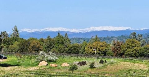 11777 Shenandoah Rd, Plymouth, CA 95669 Photo