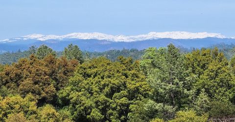 11777 Shenandoah Rd, Plymouth, CA 95669 Photo