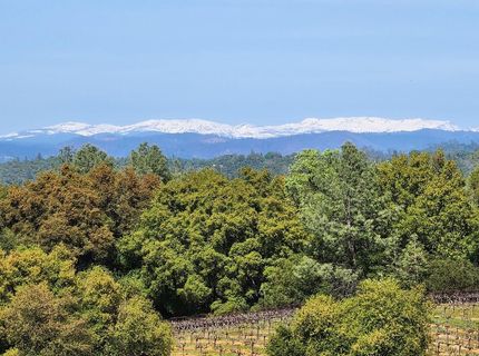 11777 Shenandoah Rd, Plymouth, CA 95669 Photo