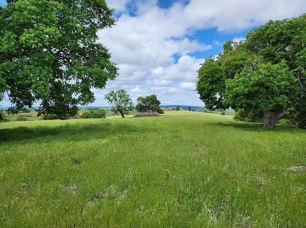 11777 Shenandoah Rd, Plymouth, CA 95669 Photo