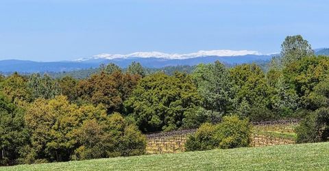 11777 Shenandoah Rd, Plymouth, CA 95669 Photo