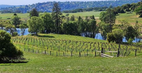 11777 Shenandoah Rd, Plymouth, CA 95669 Photo