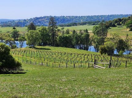 11777 Shenandoah Rd, Plymouth, CA 95669 Photo