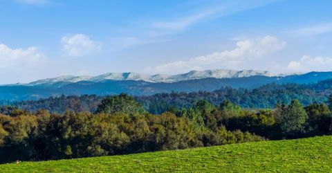 11777 Shenandoah Rd, Plymouth, CA 95669 Photo