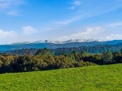 11777 Shenandoah Rd, Plymouth, CA 95669 Photo