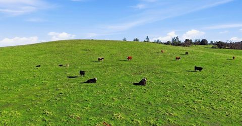 11777 Shenandoah Rd, Plymouth, CA 95669 Photo