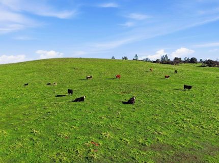 11777 Shenandoah Rd, Plymouth, CA 95669 Photo