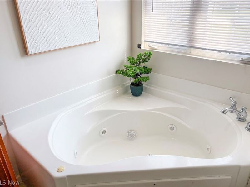 5236 Giacomo Court NW, Canton, OH 44709 Photo 38