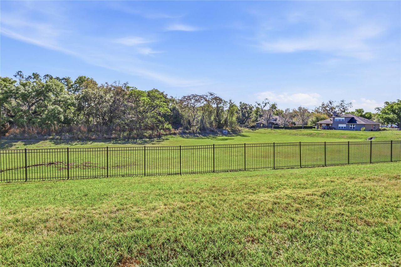 8 Winters Landing Drive, Oakland, FL 34787 Photo