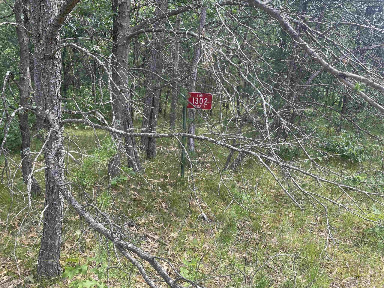 1302 Birdie Trail, Nekoosa, WI 54457 Main Photo