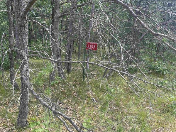1302 Birdie Trail, Nekoosa, WI 54457