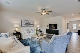 660 Rose Copper Way  photo 4