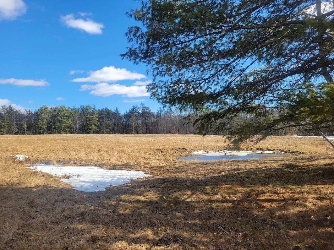 446b Province Road, Barnstead, NH 03218 Main Photo