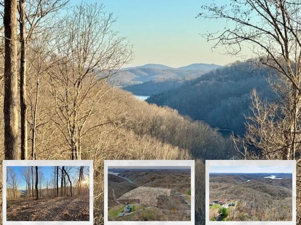 10 AC Jimmy Reneau Rd, Celina, TN 38551