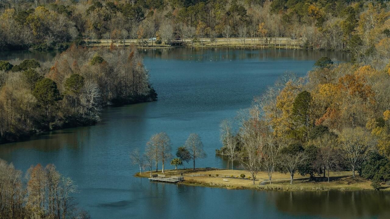 140 Alston Circle Photo 30