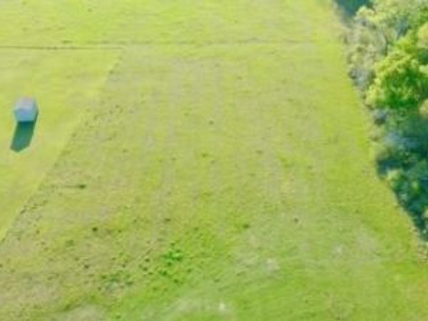 BRIDGER Avenue , Loranger, LA 70446