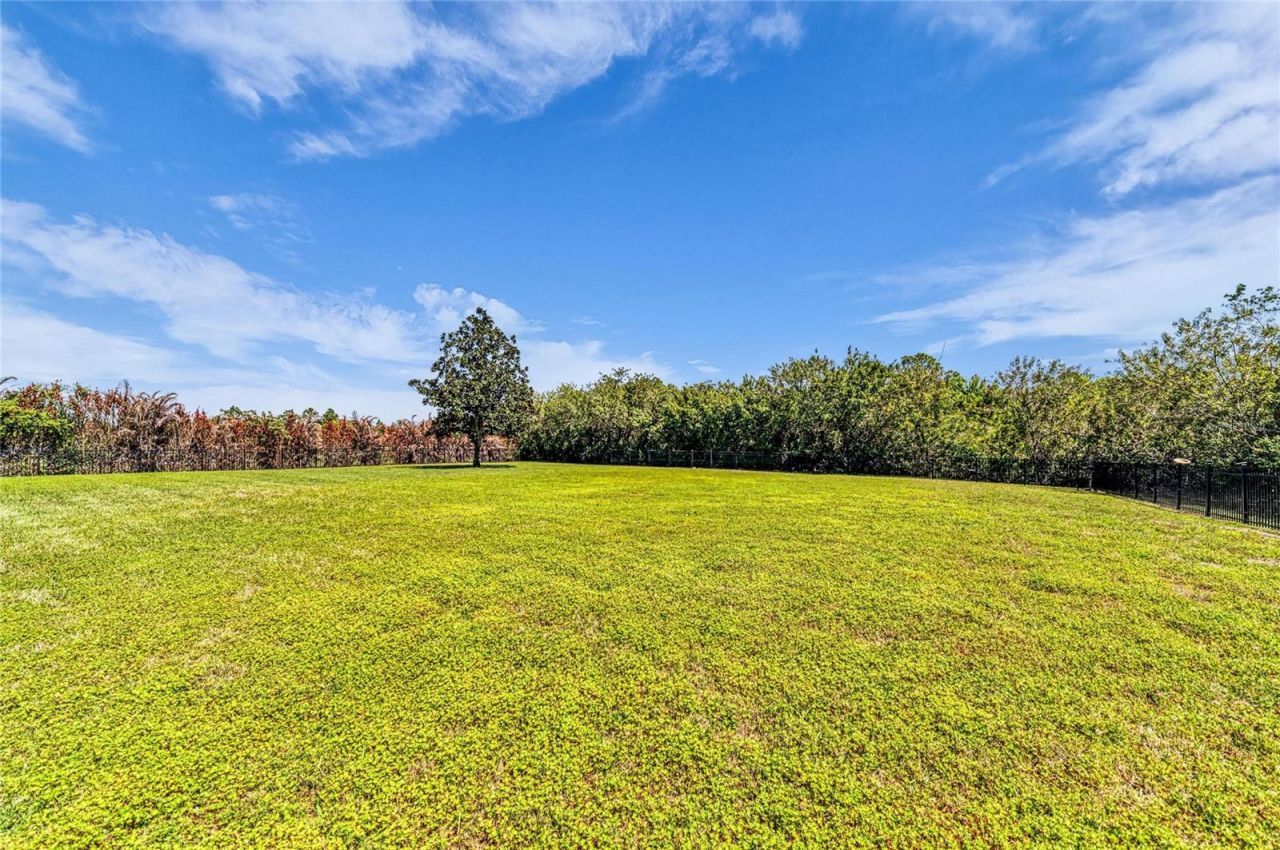 22805 Night Heron Way, Bradenton, FL 34202 Photo