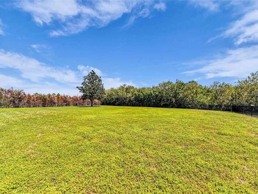 Property Image 81