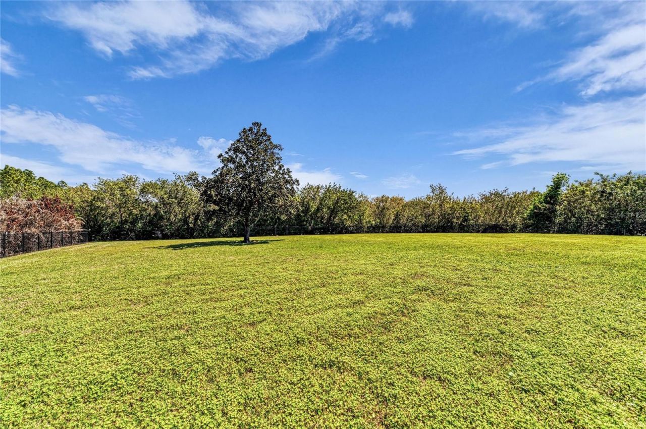 22805 Night Heron Way, Bradenton, FL 34202 Photo