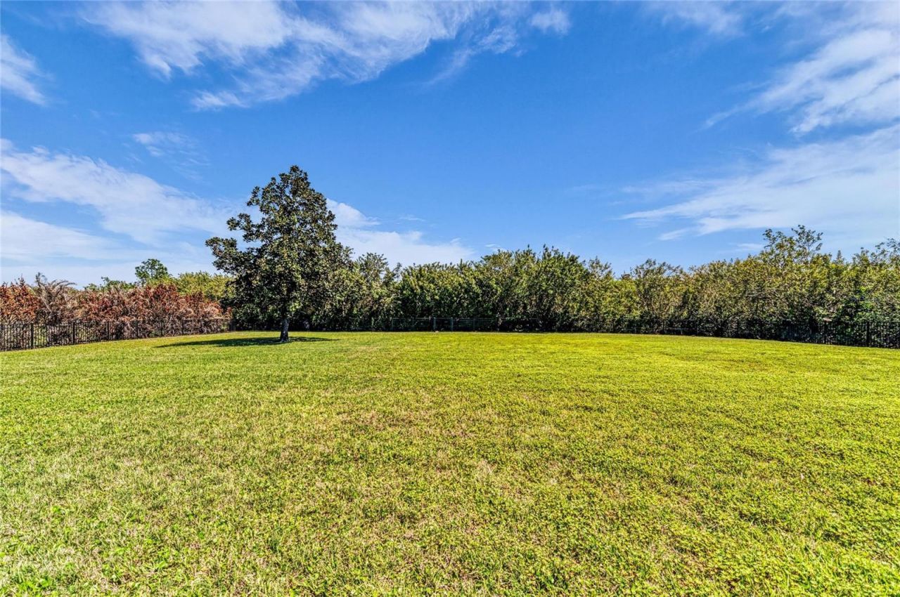 22805 Night Heron Way, Bradenton, FL 34202 Photo