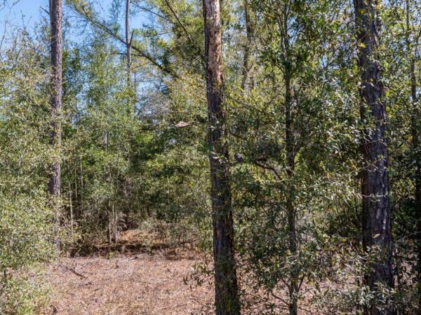 TBD 197TH PLACE, Live Oak, FL 32060