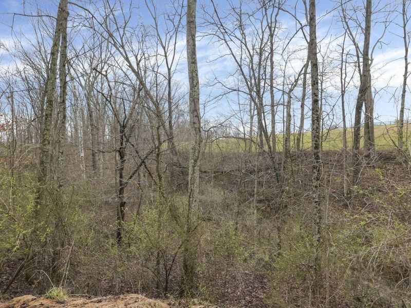 20000 Kalklosch Road, Logan, OH 43138 Photo 31