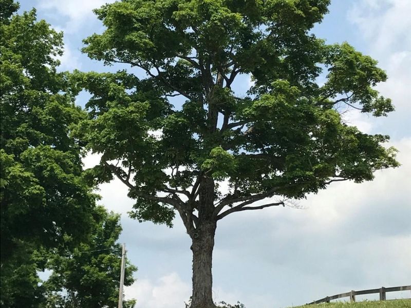 20000 Kalklosch Road, Logan, OH 43138 Photo 32