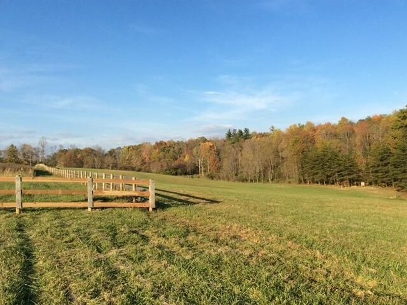 20000 Kalklosch Road, Logan, OH 43138 Photo 35