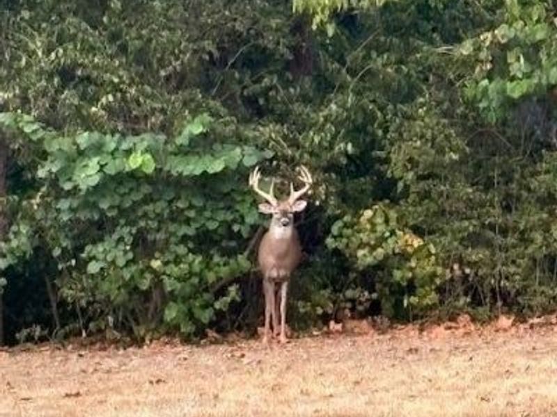 20000 Kalklosch Road, Logan, OH 43138 Photo 41