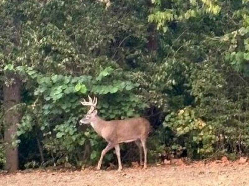 20000 Kalklosch Road, Logan, OH 43138 Photo 42