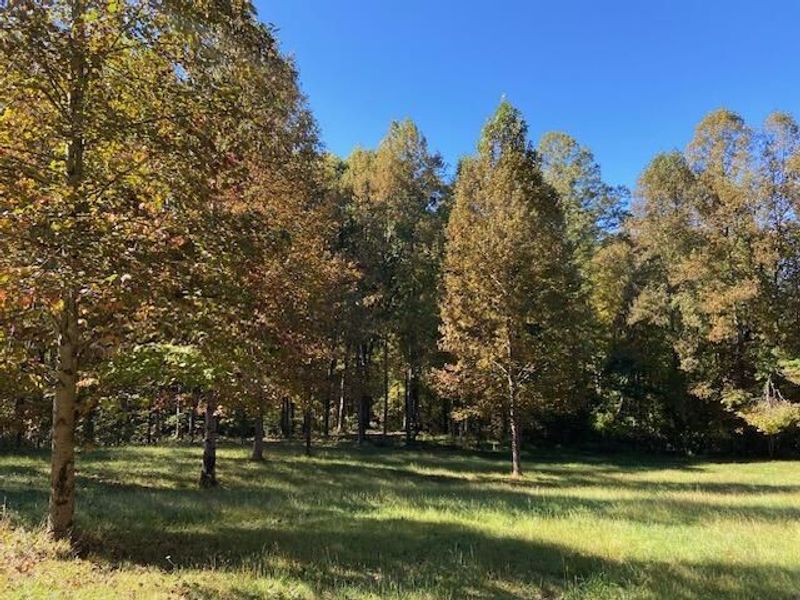 20000 Kalklosch Road, Logan, OH 43138 Photo 8